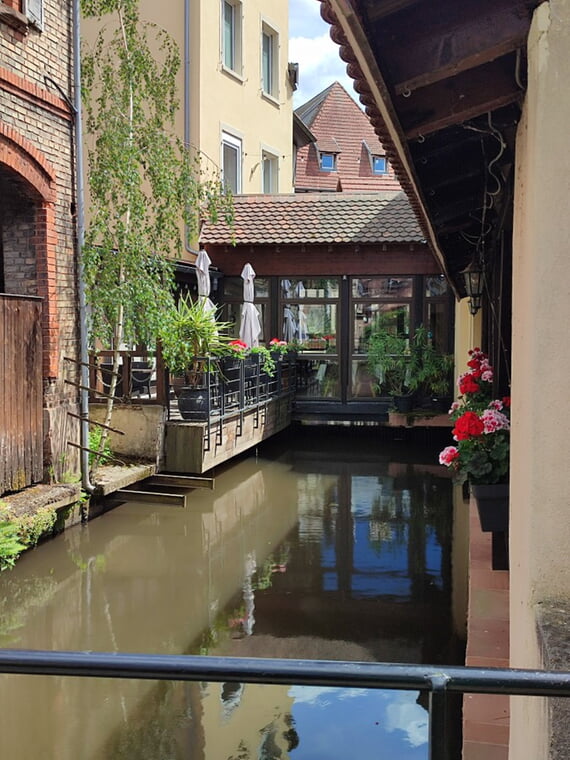 Elsass 2026 Fleckenstein Wissembourg