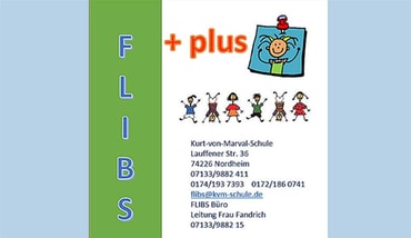 Flibs plus Logo heller