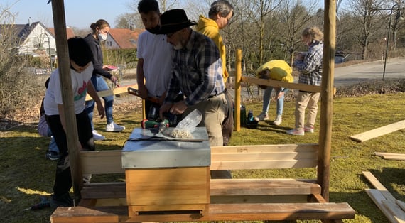 Bienen 2022 Bau