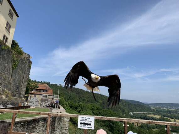 Ausflug Klassenstufe 4 2023 Neureuther